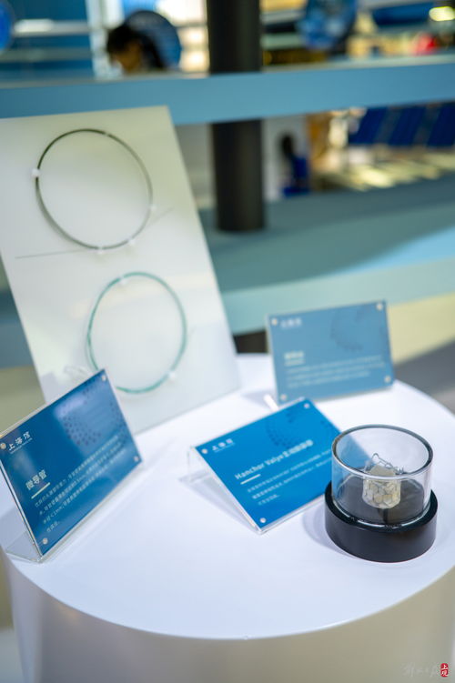 進博會上海館 以海派底蘊呈現前沿新質生產力