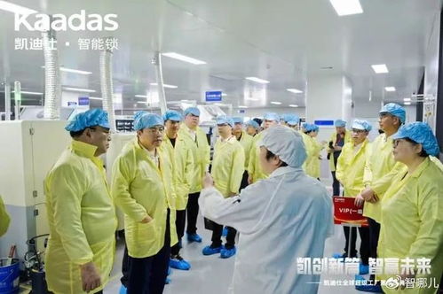 以新質(zhì)生產(chǎn)力引領(lǐng)智能鎖行業(yè)騰飛,凱迪仕打造全球最大智能安防產(chǎn)業(yè)園