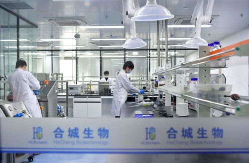 醫藥工業 鏈 上數智化 7部門發文釋放新信號