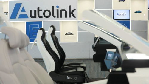 新華視點丨護(hù)航民營企業(yè)發(fā)展 硬核舉措紛紛亮相