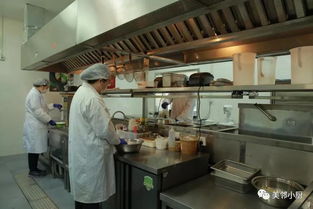 努力奮斗的你值得吃更好 美鄰小廚智能烹飪