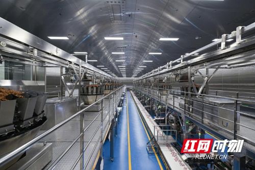 科研興企 清華大學學生湖湘文化交流協會調研勁仔食品