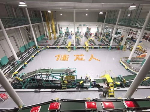 漳州佳龍 一站式智能包裝服務助力米廠工人解放雙手